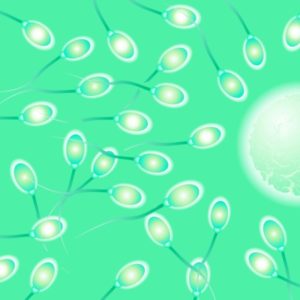 Men's fertility tips