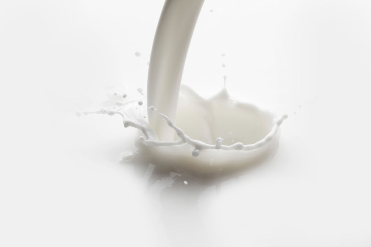 What’s The Difference: Milk Vs. Plant-based Milk - Orange Naturals Blog