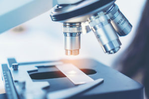 ON-Blog-Introduction-to-Live-Cell-Microscopy