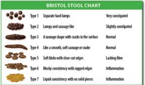 bristolstoolchart