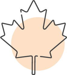 An illustration of a maple leaf | Orange Naturals