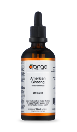 Ginseng américain teinture-mère