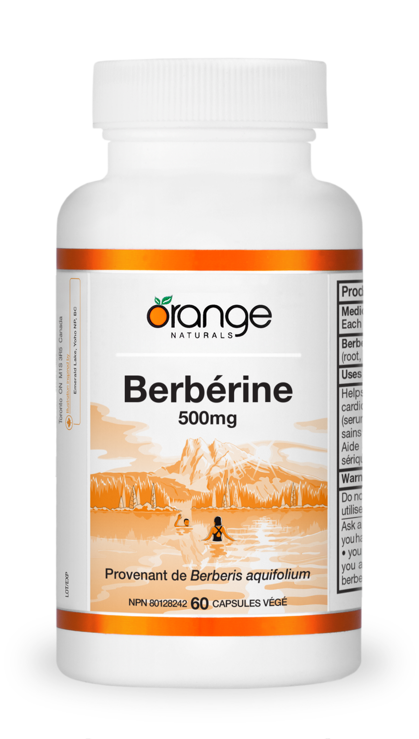 Berbérine 500mg