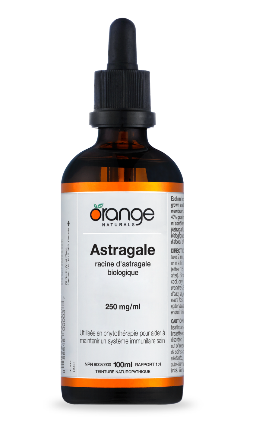 Astragale teinture-mère