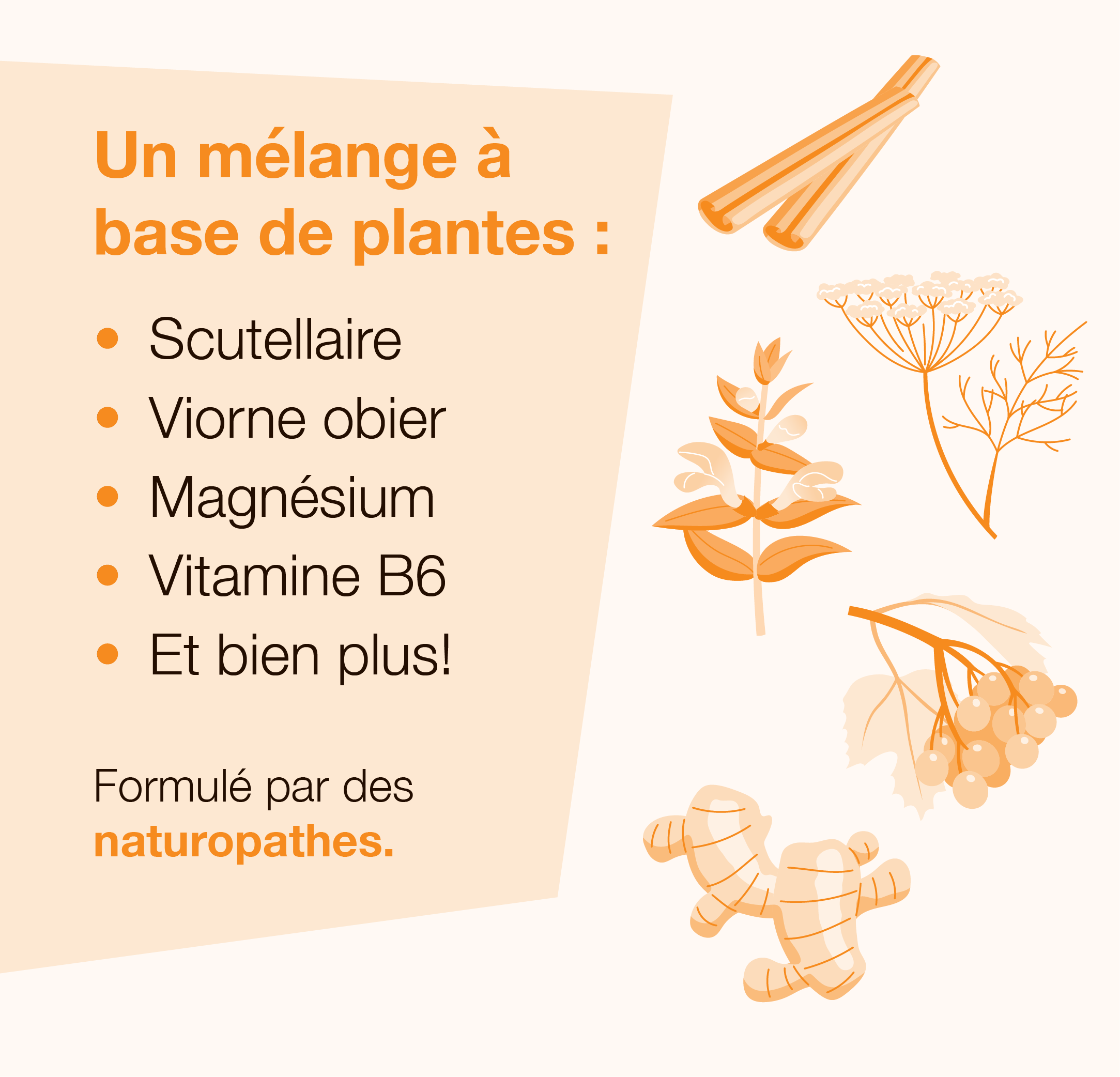 Soulage crampes – Image 3